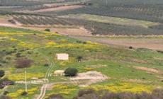 Scoperta porta Nord dell'antica citta' di Selinunte