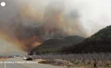Incendi boschivi in Corea del Sud, le vittime salgono a quota 24