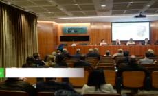 P.A., Fumarola: "Importante rinnovare i contratti"