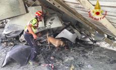 Incendio all'Inalca, trovato altro amianto: il Comune di Reggio chiude un parco 