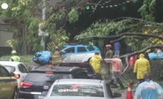 Maltempo in Brasile, allagamenti e alberi caduti a Rio de Janeiro