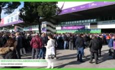 Vinitaly:  CCIAA Irpinia Sannio protagonista