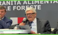 Vinitaly, partnership tra Ismea e Consorzio doc delle Venezie