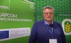 Vinitaly: parla Paolo Mastroberardino, titolare della tenuta agricola Terredora