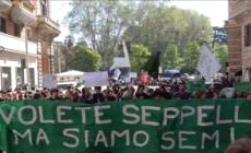"Ci volete seppellire ma siamo semi", Fridays for Future in piazza a Roma