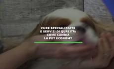Cure specializzate e servizi di qualita': come cambia la pet economy