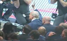 Trump e Musk insieme all'incontro per il titolo Ufc a Miami