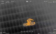 Recuperato un ferito da una nave cargo a largo del porto di Arbatax