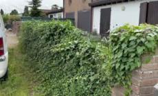 Il cadavere di una 90enne scoperto in un garage nel Ferrarese