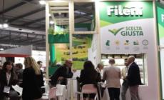 Fileni adotta i criteri dell'European Chicken Commitment
