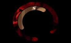 "Siamo serie": Pulse, Liliana, Dying for Sex