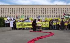 Presidio di Amnesty International per la Palestina davanti alla Farnesina