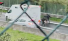 Assalto a portavalori sull'Aurelia: 11 arresti tra Sardegna, Emilia e Toscana