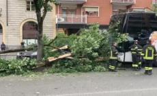 Torino, incidente per un pullman con scolaresca francese: 5 feriti