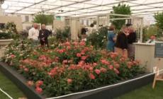 Londra, anche i Reali al Chelsea Flower Show