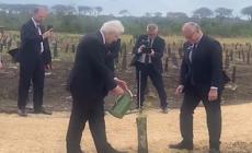 Mattarella 'giardiniere' per progetto green a Castelporziano