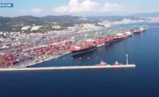 Genova, eroina nei mattoni: sequestrati 140 kg di droga