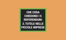 Ansa EXPLAINER - Referendum 2: Tutele nelle piccole imprese