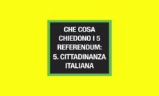 Ansa EXPLAINER - Referendum 5: Cittadinanza italiana