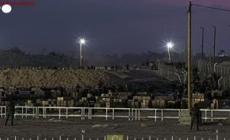 Gaza, continuano gli assalti ai centri di raccolta degli aiuti