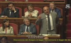 "Per Fdi bimbi meglio in carcere", bufera sulle parole del senatore Berrino
