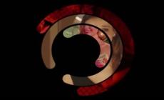 "Siamo serie": Asura, Gerri, La pazza gioia