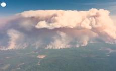Incendi in Canada, bruciati oltre 20mila ettari di bosco a Kiskatinaw