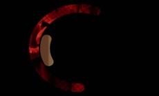 "Siamo serie": La riserva, La mesi'as, Vicky Cristina Barcellona