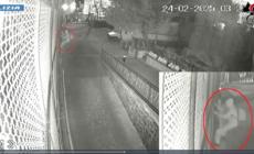 Attacchi incendiari a commissariato di polizia e caserma dei carabinieri, un arresto