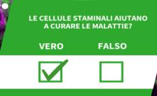 Ansa VERIFIED - Le cellule staminali aiutano a curare le malattie?