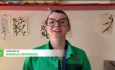 Roma, torna Bande de Femmes, festival femminista di fumetto e illustrazione