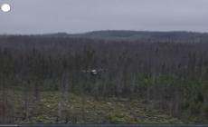 Canada, semi lanciati da un drone per la riforestazione post-incendi