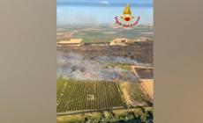 Incendi, in Molise chiusa Sp 40 tra Campomarino e Portocannone