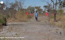 Il principe Harry come Diana, tra i campi minati dell'Angola