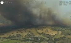 Spagna, vasto incendio boschivo nella provincia di Toledo