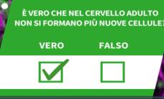 E' vero che nel cervello adulto non si formano piu' nuove cellule?