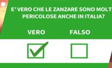 Ansa VERIFIED - E' vero che le zanzare sono molto pericolose anche in Italia?