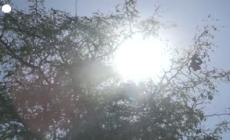 Francia nella morsa del caldo, a Lione ci si 'rinfresca' lungo il Rodano