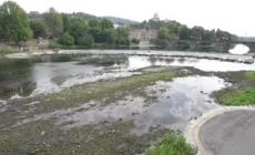 Il Po a Torino tra siccita' e alghe