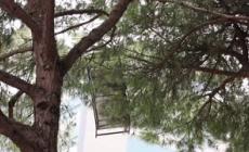 Maltempo sulla Riviera Romagnola, lettini "volati" sugli alberi a Rimini