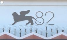 Venezia, Barbera: "C'e' un ritorno del cinema alla realta'"