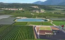 In Trentino al via la prima funivia per le mele al mondo