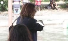 Venezia, l'arrivo di Julia Roberts e il cast di "After the Hunt" al Lido