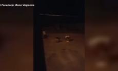 Ragazzi scagliano sassi contro un lampione nel Cuneese