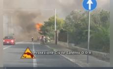 Incendio vicino a case vacanze, decine di evacuati nel Salento