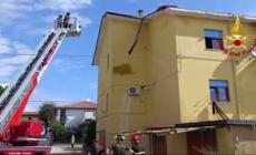Maltempo in Veneto: piante divelte, tetti scoperchiati e allagamenti