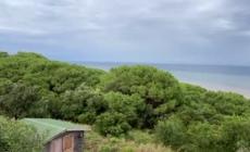 Nubifragio sull'Isola d'Elba, strade bloccate e in 200 evacuati