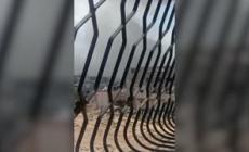 Israele avvia l'operazione di terra, 'tank a Gaza city'