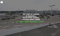 Dai cani in cabina ai bagagli, le novita' sugli aerei