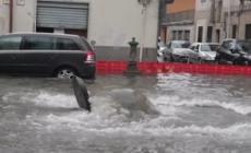 Allagamenti in zona sud Milano, a Niguarda evacuata una scuola